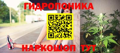 бошки Вязьма