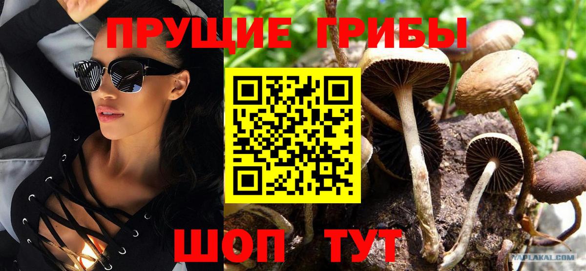 Ахтубинск  Псилоцибиновые грибы MAGIC MUSHROOMS  Вход с VPN  Галлюциногенные грибы ЛСД 