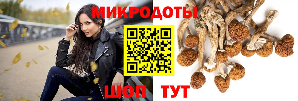 Псилоцибиновые грибы мухоморы Ахтубинск